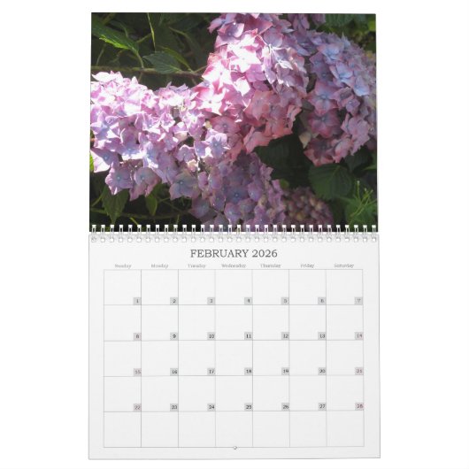 Blooming Hydrangeas Kalender (Feb 2026)