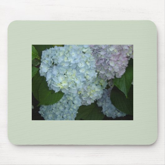 Blooming Hydrangeas mousepad Muismat (Voorkant)