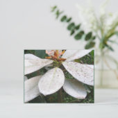Blooming in het Briefkaart van de Struik Lochmara (Staand voorkant)