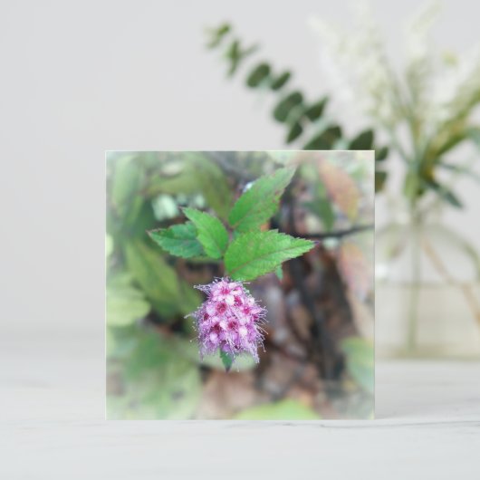 Blooming in het najaar (Staand voorkant)