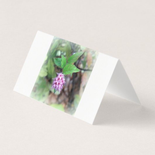 Blooming in het najaar kaart (Voorkant)