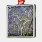 Blooming Jacaranda Trees in New Boerderij Park, 2 Metalen Ornament (Links)