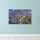 Blooming Jacaranda Trees in New Boerderij Park Canvas Afdruk (Insitu (Houten vloer))