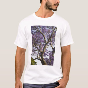 Blooming Jacaranda Trees in New Boerderij Park T-shirt