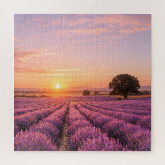 Blooming Lavender Field at Golden Sunset Provence Legpuzzel