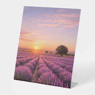 Blooming Lavender Field at Golden Sunset Provence Reclamebord Met Voetstuk