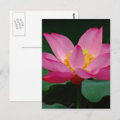 Blooming Lily Briefkaart (Voorkant / Achterkant)