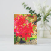 Blooming Little Red Flowers Grunge Briefkaart (Staand voorkant)