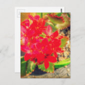 Blooming Little Red Flowers Grunge Briefkaart (Voorkant / Achterkant)