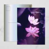 Blooming Lotus Flower Briefkaart (Voorkant / Achterkant)
