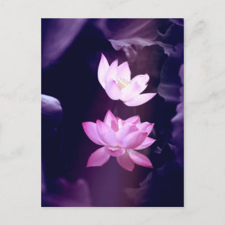 Blooming Lotus Flower Briefkaart