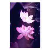 Blooming Lotus Flower Foto Afdruk (Voorkant)