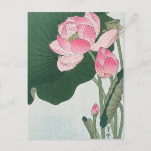 Blooming Lotus Flowers Schilderen door Ohara Koson Briefkaart