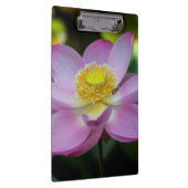 Blooming lotusbloem, Indonesië Klembord (Rechts)