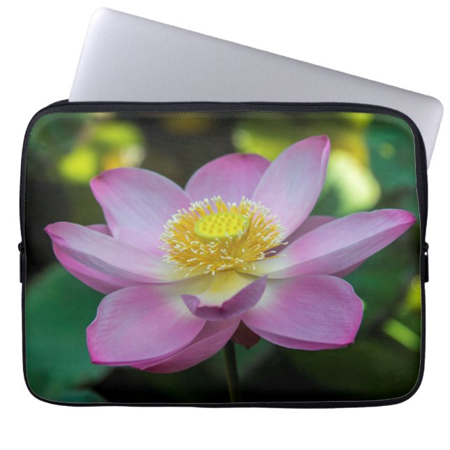 Blooming lotusbloem, Indonesië Laptop Sleeve (Voorkant)