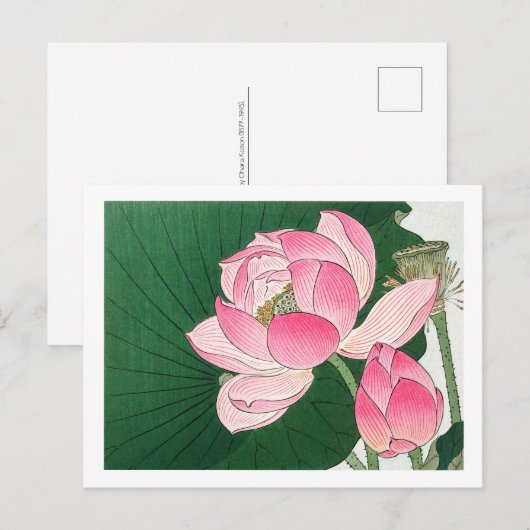 Blooming lotusbloemen - Ohara Koson - vergroot Briefkaart (Voorkant / Achterkant)