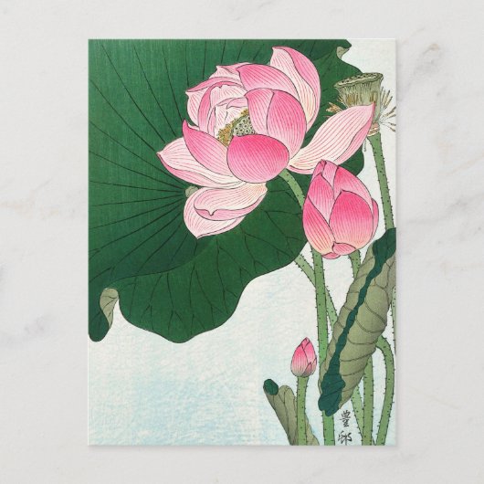 Blooming lotusbloemen - Ohara Koson - VintageArt Briefkaart (Voorkant)