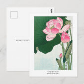 Blooming lotusbloemen - Ohara Koson - VintageArt Briefkaart (Voorkant / Achterkant)