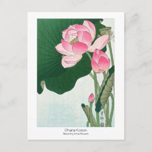 Blooming lotusbloemen - Ohara Koson - VintageArt Briefkaart