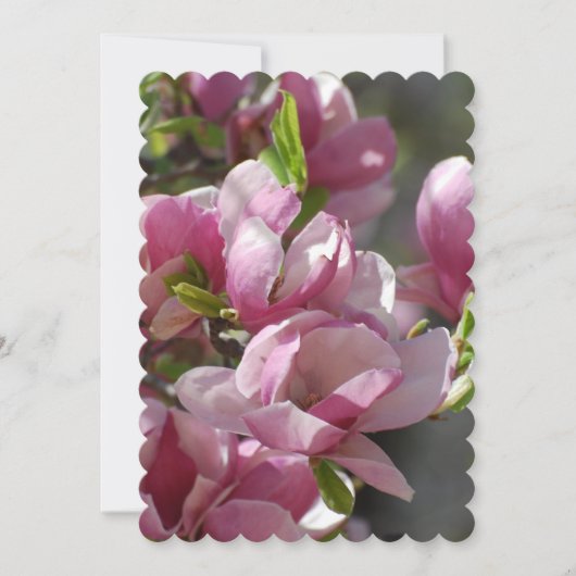 Blooming Magnolia Kaart (Voorkant)