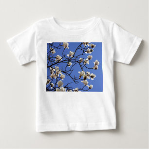 Blooming Magnolias