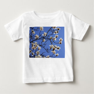 Blooming Magnolias