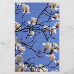 Blooming Magnolias Briefpapier