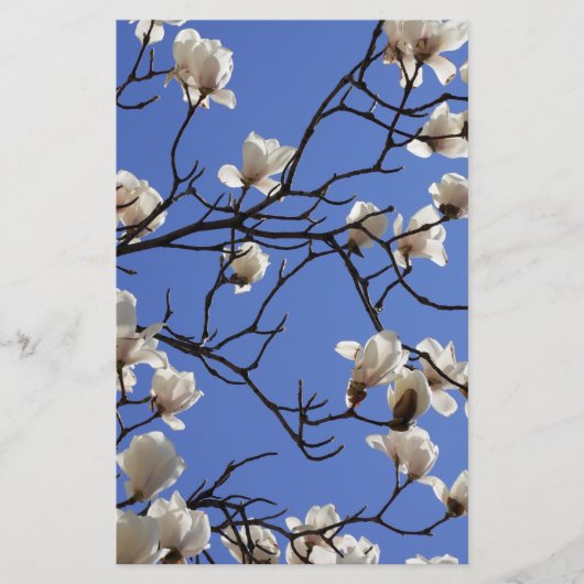 Blooming Magnolias Briefpapier (Voorkant)