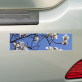 Blooming Magnolias Bumpersticker (Op auto)
