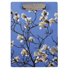 Blooming Magnolias Klembord