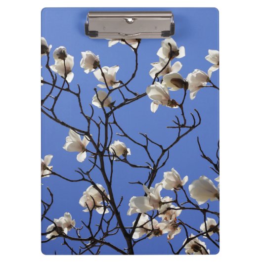 Blooming Magnolias Klembord (Voorkant)