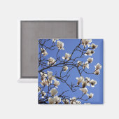Blooming Magnolias Magneet (Voorkant / Achterkant)