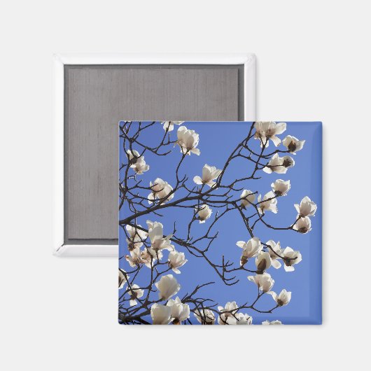 Blooming Magnolias Magneet (Voorkant / Achterkant)