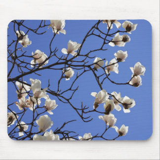 Blooming Magnolias Muismat
