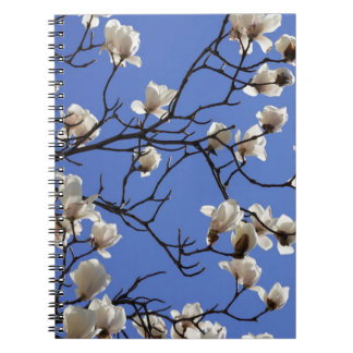 Blooming Magnolias Notitieboek