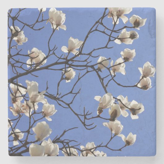 Blooming Magnolias Stenen Onderzetter (Voorkant)