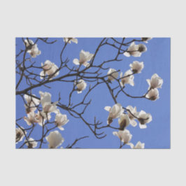 Blooming Magnolias Tissuepapier