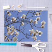 Blooming Magnolias Tissuepapier (Craft)