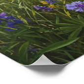 Blooming Meadow Landscape Painting Art Poster (Hoek)