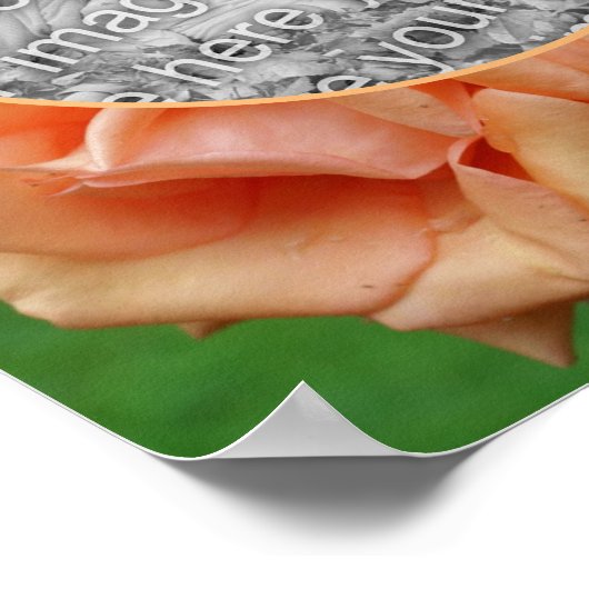 Blooming Peach Roos Lijst Creëer Uw eigen foto Poster (Hoek)