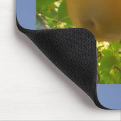 Blooming peren muismat (Hoek)