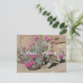 Blooming pink cactus flowers in Mesa, Arizona Briefkaart (Staand voorkant)