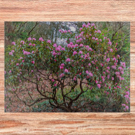 Blooming Pink Rhododendron Shrub Floral Snijplank