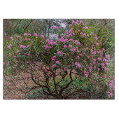 Blooming Pink Rhododendron Shrub Floral Snijplank (Voorkant)