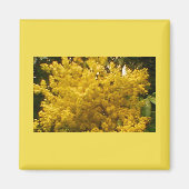 Blooming Pollen Magneet (Voorkant)