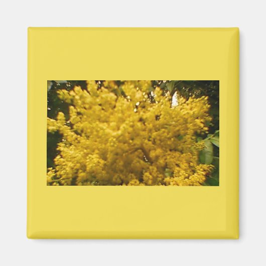 Blooming Pollen Magneet (Voorkant)