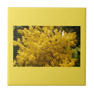 Blooming Pollen Tegeltje