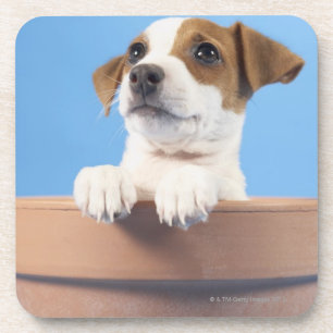 Blooming Puppy Onderzetter