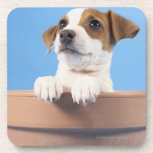 Blooming Puppy Onderzetter (Voorkant)
