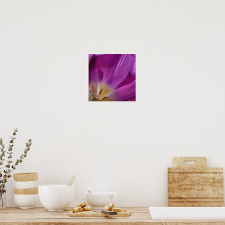 Blooming Purple Tulip Print